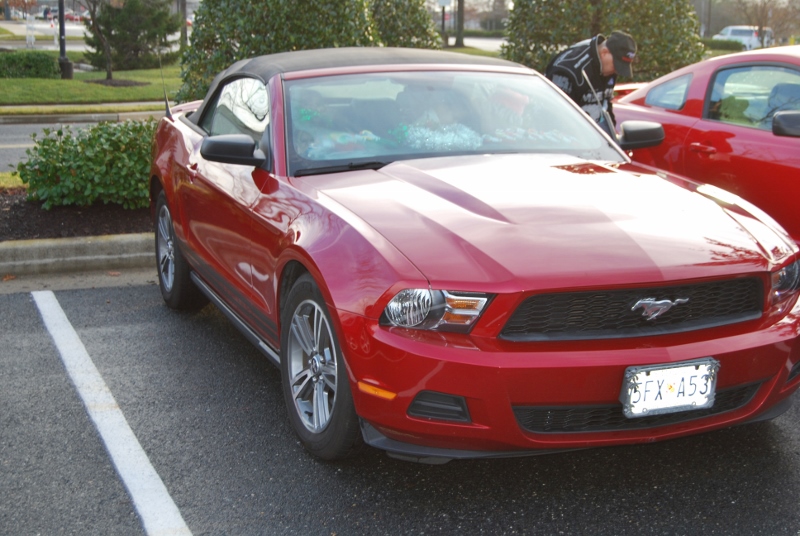 DSC_1574 (800x536).jpg