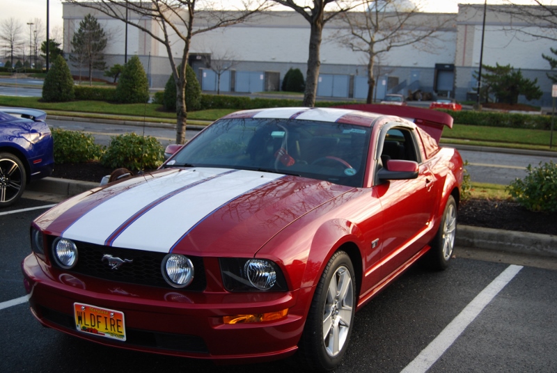 DSC_1571 (800x536).jpg