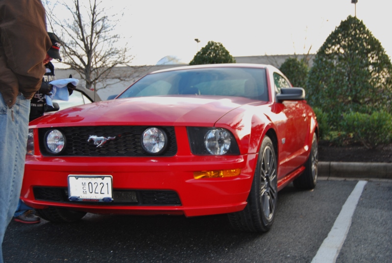 DSC_1570 (800x536).jpg