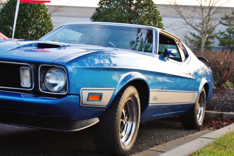 DSC_1569 (800x536).jpg