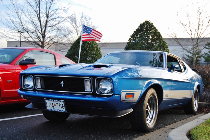 DSC_1568 (800x536).jpg