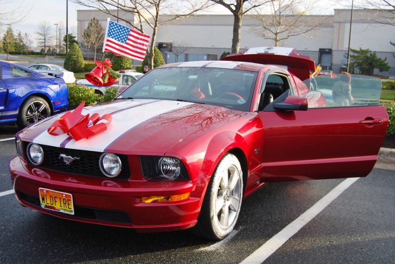 DSC_1590 (800x536).jpg