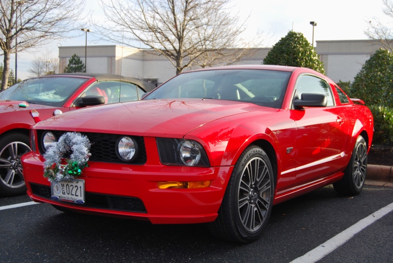 DSC_1588 (800x536).jpg