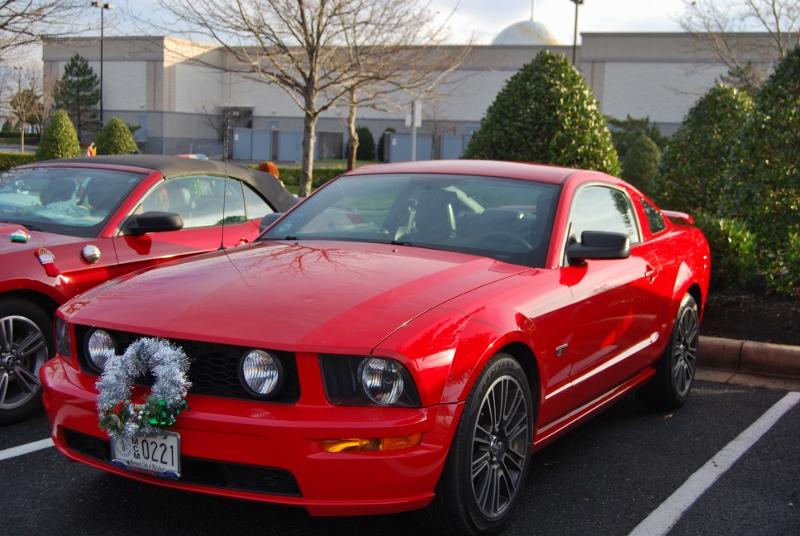DSC_1587 (800x536).jpg