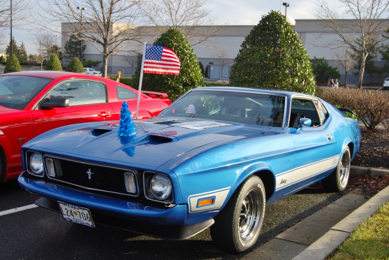 DSC_1586 (800x536).jpg