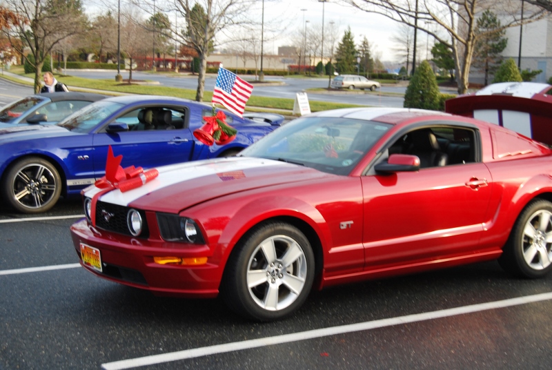 DSC_1584 (800x536).jpg