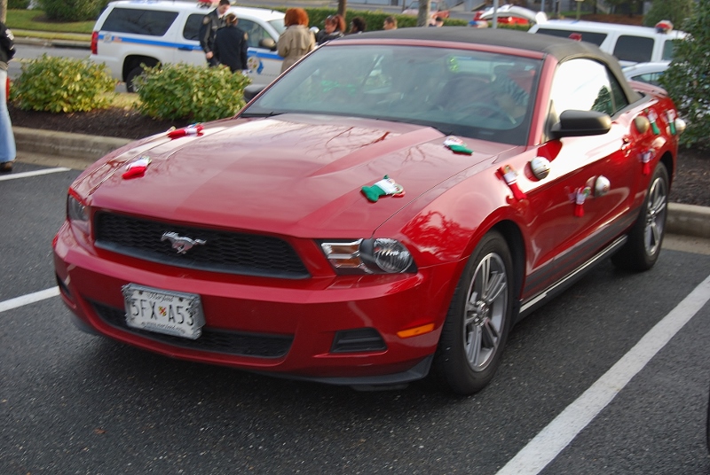 DSC_1583 (800x536).jpg
