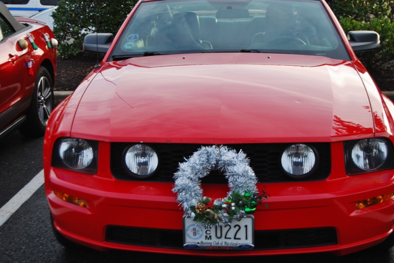 DSC_1582 (800x536).jpg