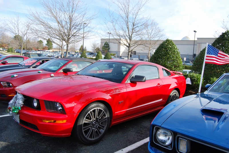 DSC_1609 (800x536).jpg