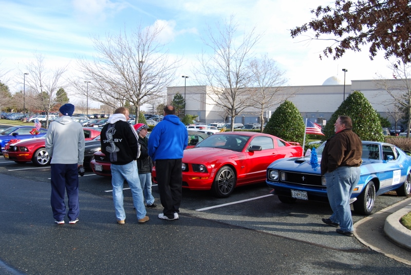 DSC_1603 (800x536).jpg