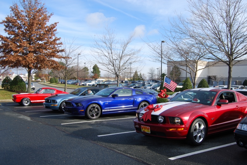 DSC_1602 (800x536).jpg