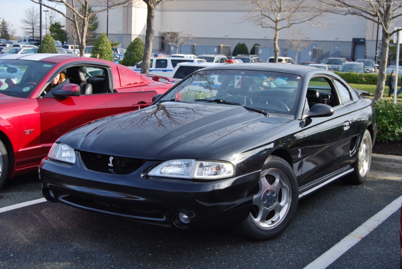 DSC_1601 (800x536).jpg
