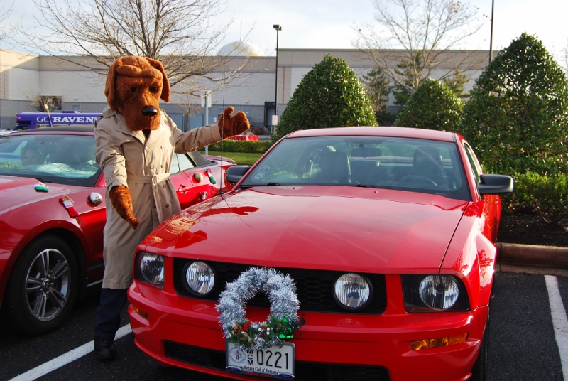 DSC_1599 (800x536).jpg