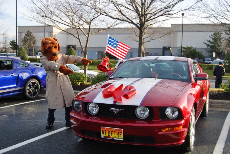 DSC_1598 (800x536).jpg