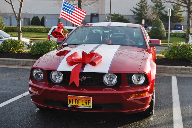 DSC_1597 (800x536).jpg