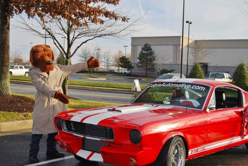 DSC_1595 (800x536).jpg
