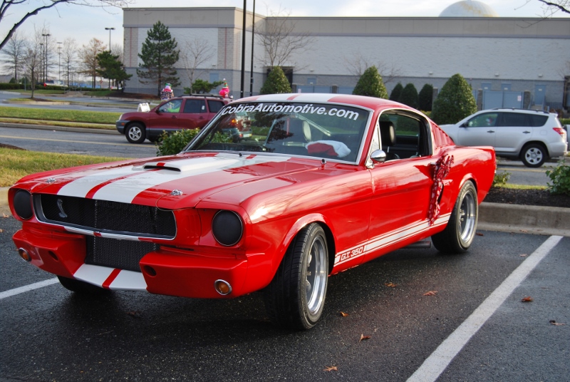 DSC_1593 (800x536).jpg