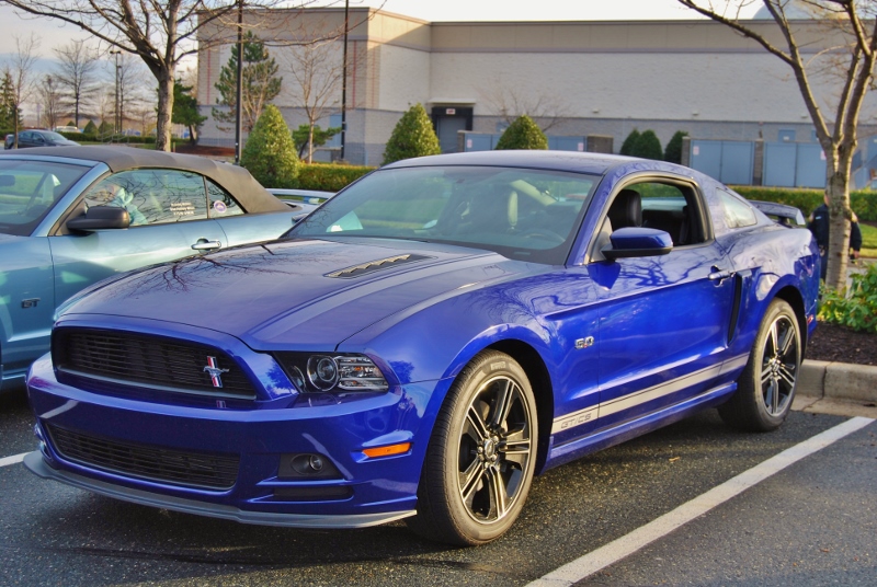 DSC_1591 (800x536).jpg