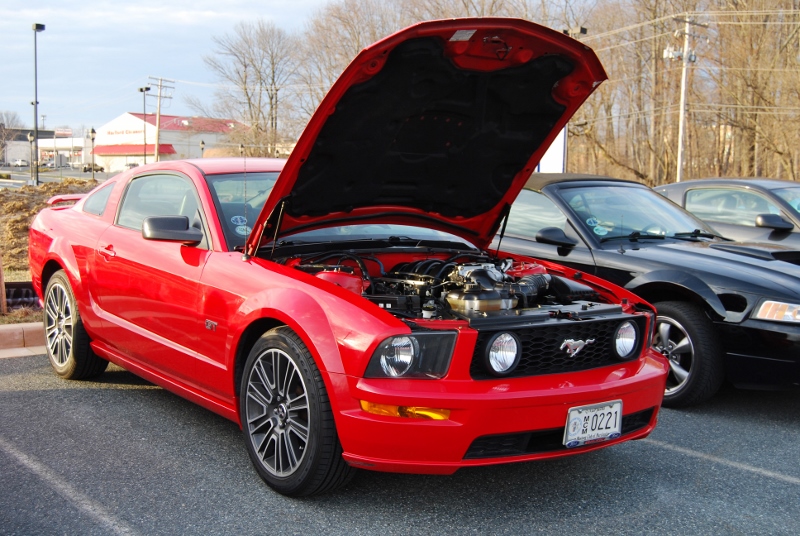 DSC_2767 (800x536).jpg