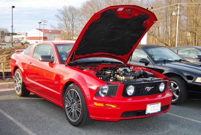 DSC_2766 (800x536).jpg