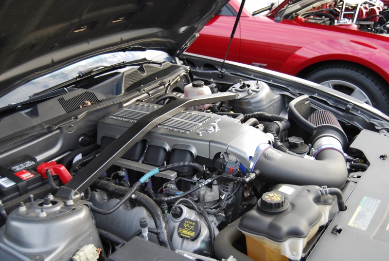 DSC_2752 (800x536).jpg