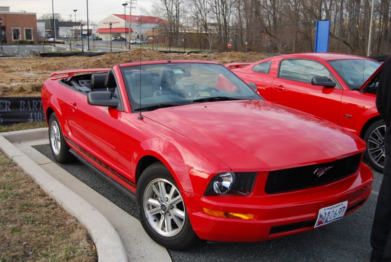 DSC_2745 (800x536).jpg