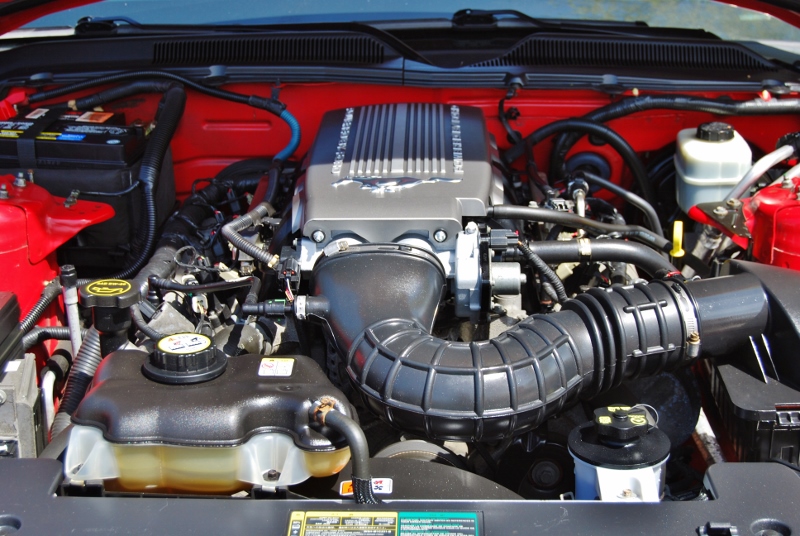 DSC_3107 (800x536).jpg