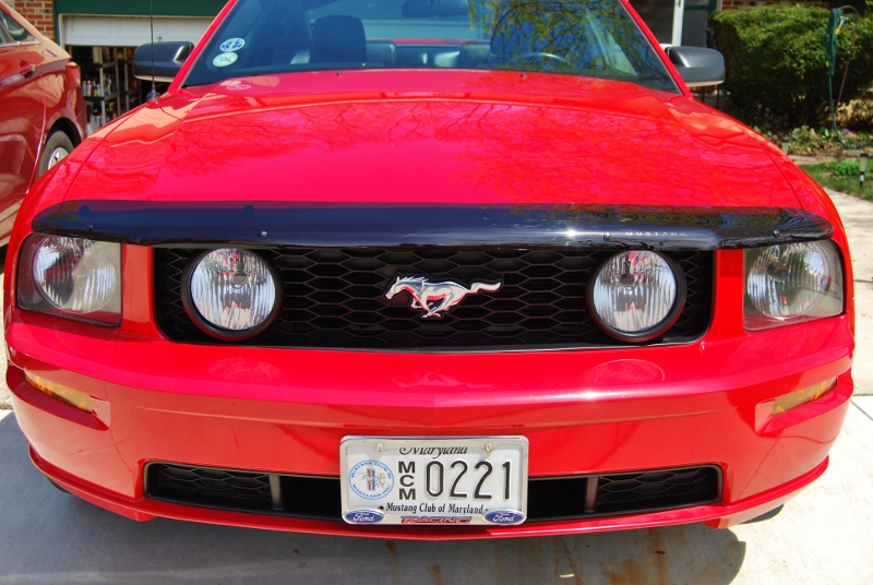 DSC_3122 (800x536).jpg