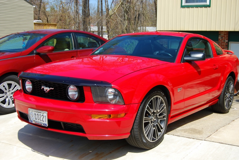 DSC_3126 (800x536).jpg