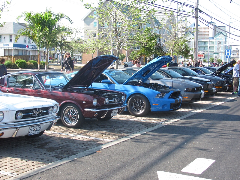 mcomoc05.jpg