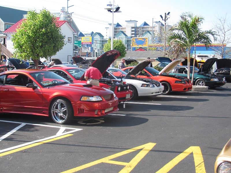 mcomoc06.jpg