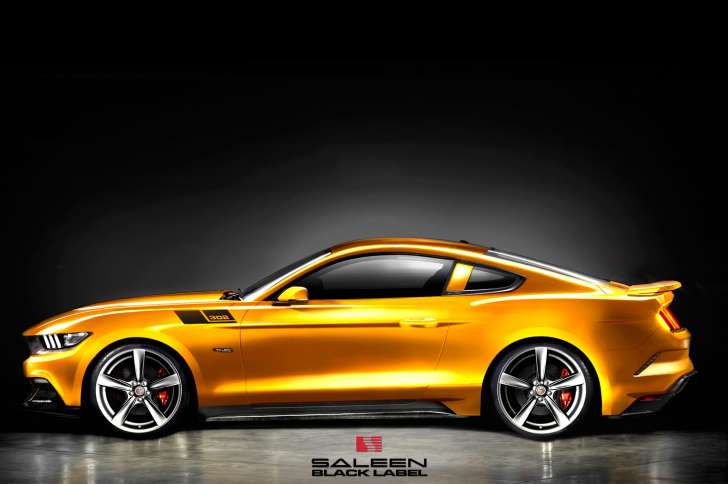 2015 Saleen side.jpg