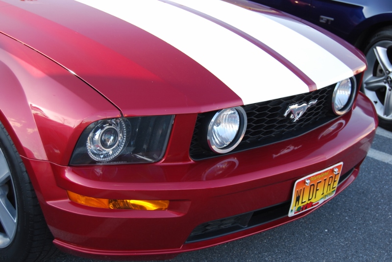 MCOM April 2015 Mtg 016 (800x536).jpg